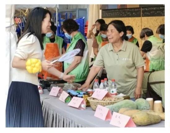 聚焦重大戰略，服務中心大局 嘉定社會組織以專業咨詢助力經濟社會高質量發展